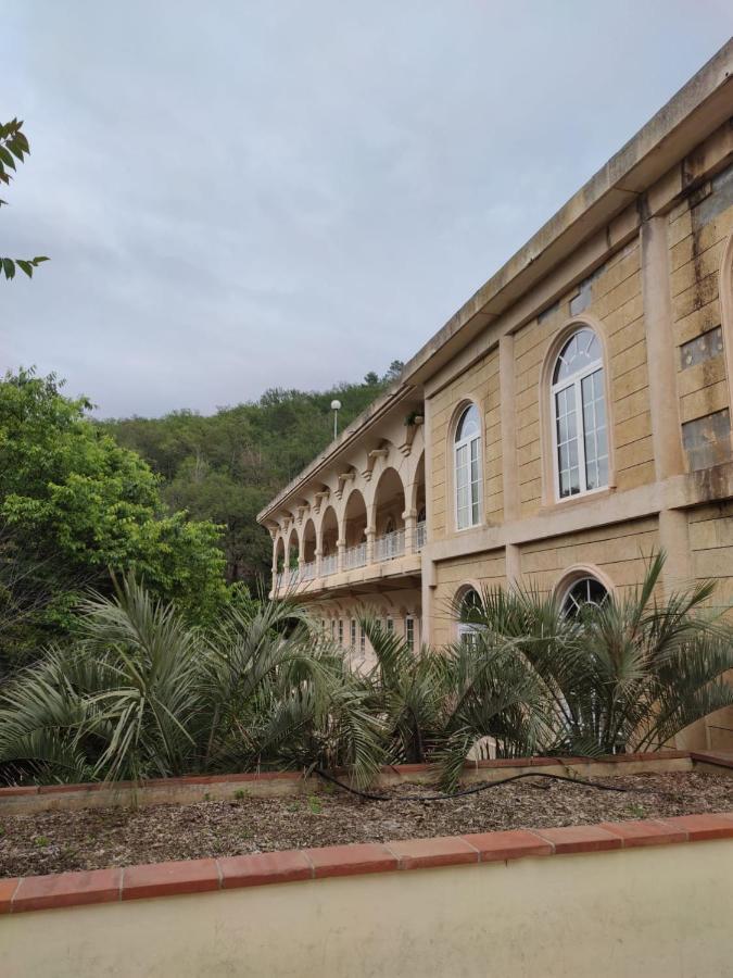 Joli Studio Du Vallespir Amélie-les-Bains-Palalda Eksteriør billede
